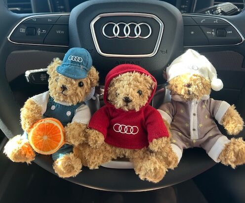 入荷💗マイスターベア🐻 | Audi枚方スタッフブログ 大阪府枚方市 Audi